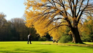 cita previa para trabajastur en linea