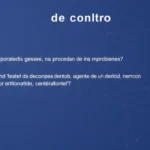 Contrato de agentes comerciales explicado en detalle