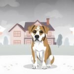 Costo de regular la custodia de mascotas tras una ruptura