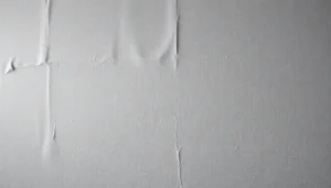 desistimiento y renuncia a prestaciones de desempleo