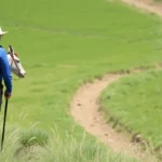 Guía para trabajar como guarda rural en España