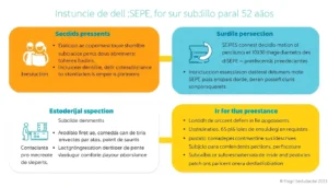 instrucciones del sepe sobre el subsidio para mayores de 52 anos