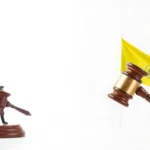 Ley Orgánica 5/2024 sobre el Derecho de Defensa