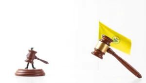 ley organica 5 2024 sobre el derecho de defensa