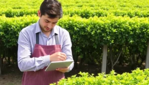 requisitos de peonadas para subsidio en andalucia y extremadura