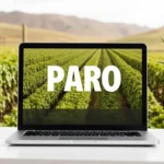 Sellar el paro por Internet en La Rioja fácilmente