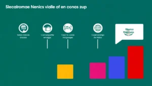 sistema nacional de empleo en mexico